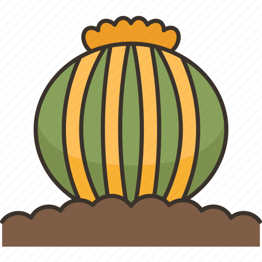 Cactus, barrel, spines, desert, ornamental icon - Download on Iconfinder