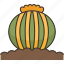 cactus, barrel, spines, desert, ornamental 