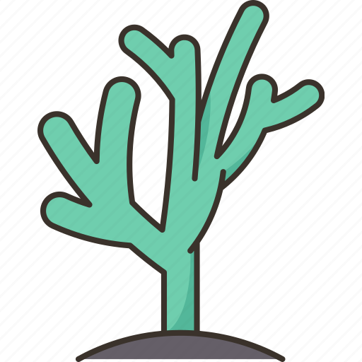 Cactus, pencil, shrub, arid, tropical icon - Download on Iconfinder