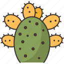 cactus, prickly, pear, succulent, desert