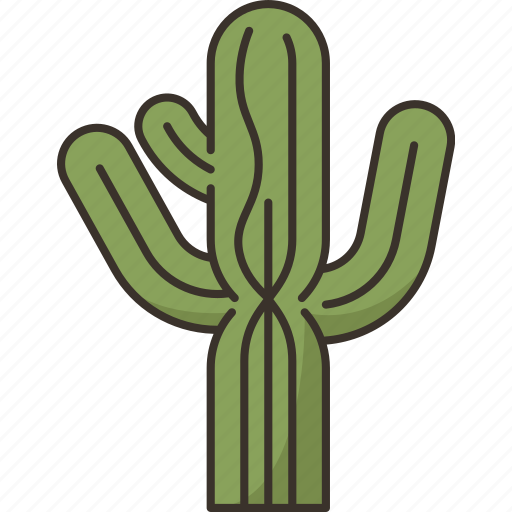 Cactus, saguaro, desert, arid, vegetation icon - Download on Iconfinder