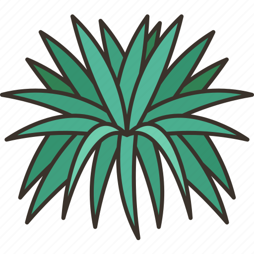 Desert, spoon, shrub, plant, botanical icon - Download on Iconfinder