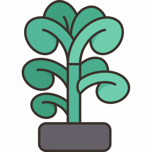 Jade, plant, succulent, foliage, arid icon - Download on Iconfinder