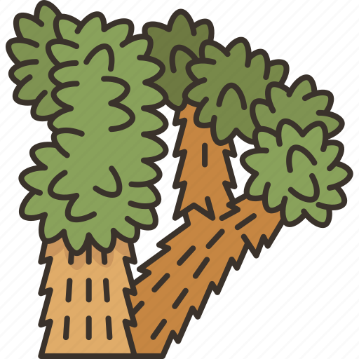 Joshua, tree, yuccas, desert, plant icon - Download on Iconfinder