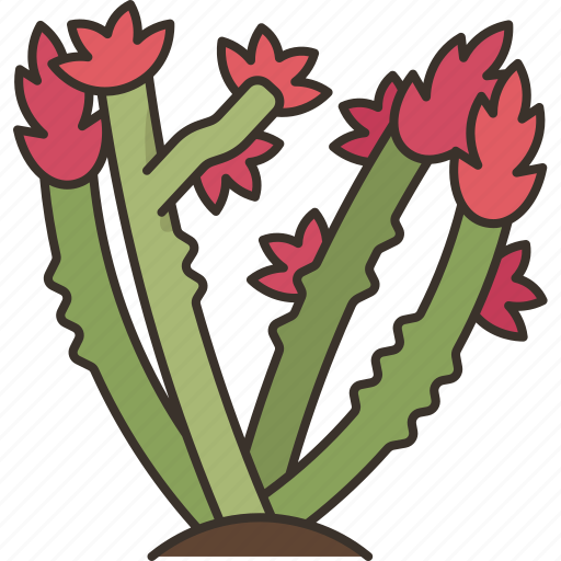 Ocotillo, shrub, plant, desert, botany icon - Download on Iconfinder