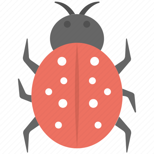 Bug, ladybird, malware, threats, virus icon - Download on Iconfinder