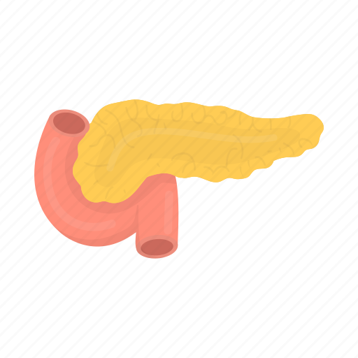 Diabetes, gland, human, internal, organ, pancreas icon - Download on Iconfinder