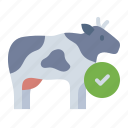 cow, animal, livestock, dairy, product, farm, agriculture, healthy cow
