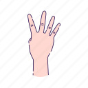 count, fingers, four, gesture, hand, human, palm