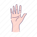 fingers, fingershand, gesture, hand, human, palm