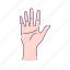 fingers, fingershand, gesture, hand, human, palm 