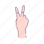 count, fingers, gesture, hand, human, peace, two 