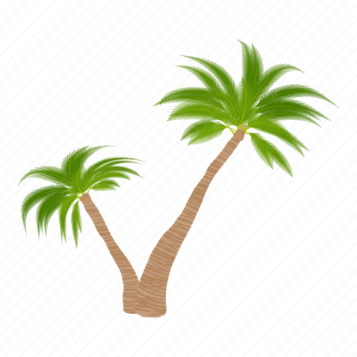 Cartoon, floral, green, oil, palm tree, palmtree, tree icon - Download on Iconfinder
