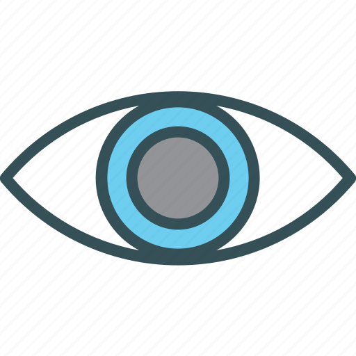 Eye, overview, show, view, visibility icon - Download on Iconfinder