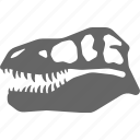 bone, dinosaur, fossil, rex, skeleton, skull, t