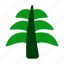 palm, leaf, dinosaur, jurassic, plant 