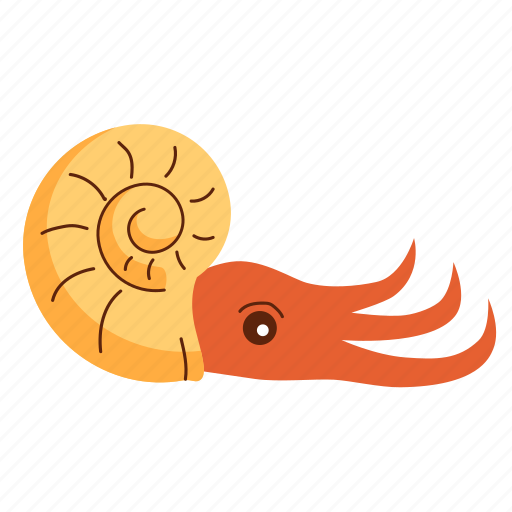Ammonite, prehistoric, shell, sea icon - Download on Iconfinder