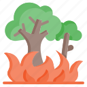 burning, tree, wildfire, climate, change, burn, global, warming, forest, fire