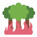 disaster, catastrophe, nature, forest fire