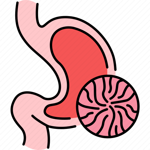 Gastric, ulcer, stomach, organ icon - Download on Iconfinder