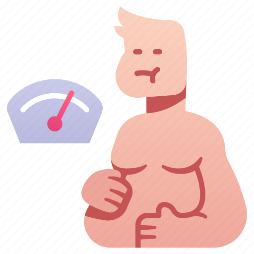 Body, diet, fat, obesity, overweight, unhealthy, weight icon - Download on Iconfinder