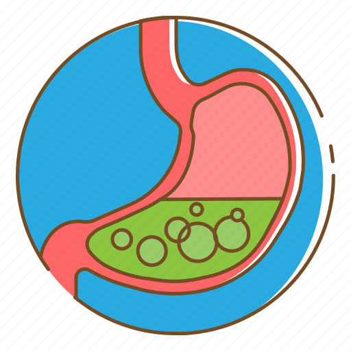 Healthcare, maag, medical, stomach icon - Download on Iconfinder