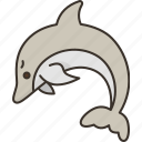 dolphin, animal, marine, sea, wildlife