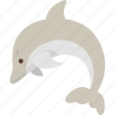 dolphin, animal, marine, sea, wildlife