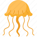 jellyfish, animal, ocean, underwater, medusa