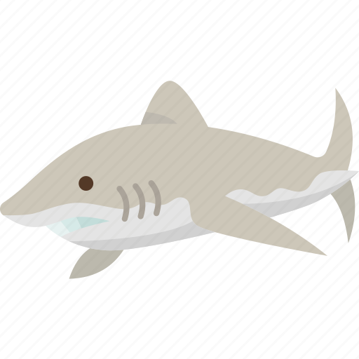 Shark, marine, underwater, animal, dangerous icon - Download on Iconfinder