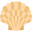 shell, scallop, mollusk, seashell, marine 