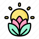 enviroment, flower, lotus, meditation, nature