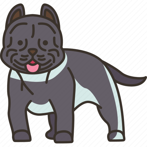 American, bully, gentle, dog, breed icon - Download on Iconfinder