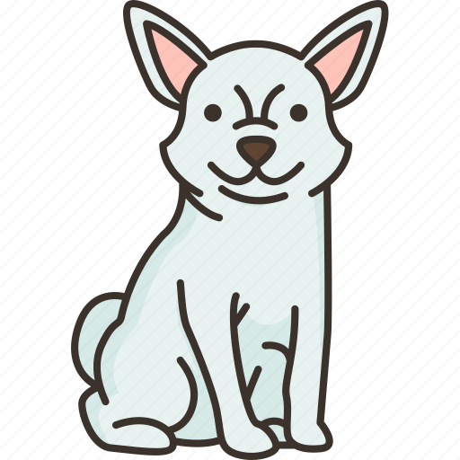 Chihuahua, tiny, puppy, alertness, noisy icon - Download on Iconfinder