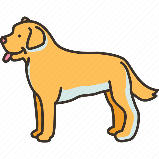 Labrador, retriever, friendly, domestic, pet icon - Download on Iconfinder