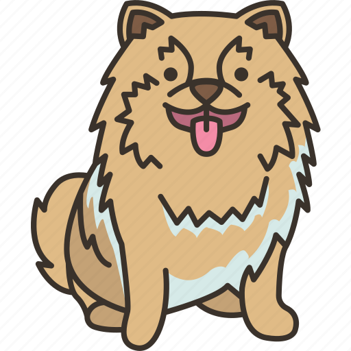 Pomeranian, energetic, feisty, toy, puppy icon - Download on Iconfinder