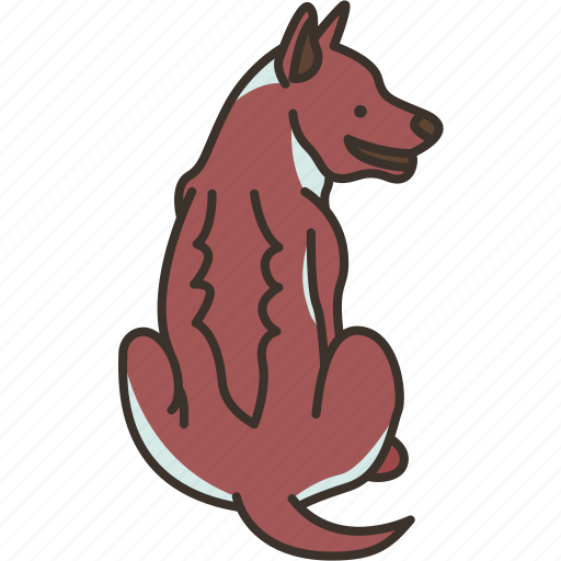 Thai, ridgeback, dog, aggressive, pedigree icon - Download on Iconfinder