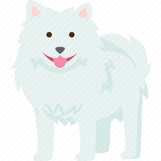 Samoyed, hunting, fluffy, pedigree, puppy icon - Download on Iconfinder
