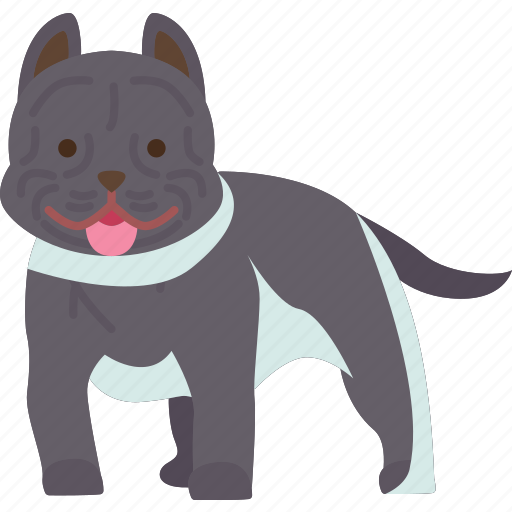 American, bully, gentle, dog, breed icon - Download on Iconfinder