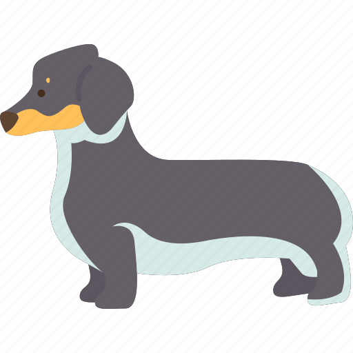 Dachshund, short, legged, german, dog icon - Download on Iconfinder