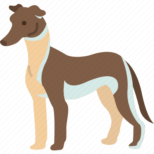 Greyhound, racing, hunting, agility, breed icon - Download on Iconfinder