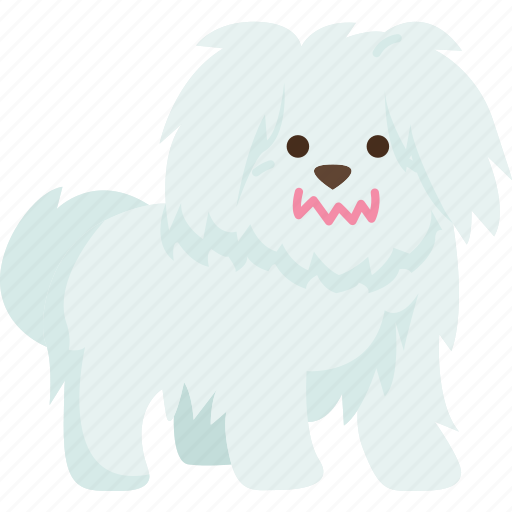 Maltese, gentle, toy, puppy, pedigree icon - Download on Iconfinder