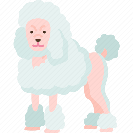 Poodle, dog, fluffy, hair, energetic icon - Download on Iconfinder