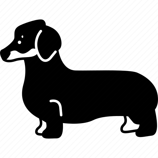 Dachshund, short, legged, german, dog icon - Download on Iconfinder
