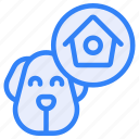 home, shelter, puppy, face, house, dog, animal, mammal, pet
