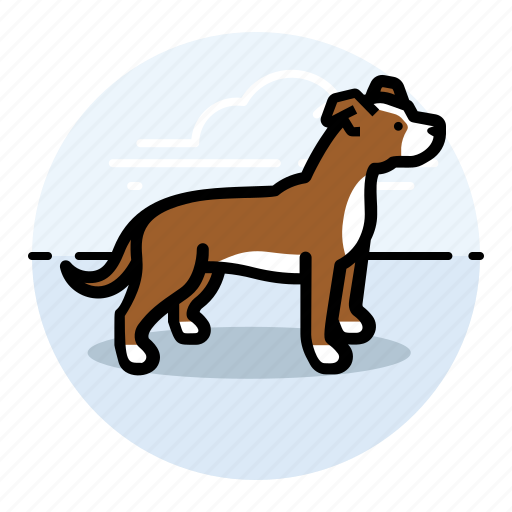B, dog, dogs, pet, pit icon - Download on Iconfinder