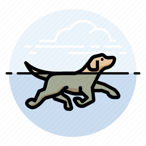 D, dog, swimming icon - Download on Iconfinder on Iconfinder