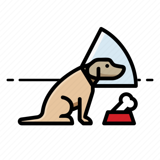 Bone, cone, dog, dogs icon - Download on Iconfinder