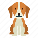 beagle, dog, pet, animals, breeds