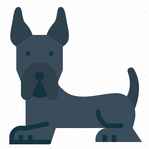 Great, dane, dog, pet, animals, breeds icon - Download on Iconfinder